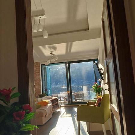 Apartment Funny Kotor Zewnętrze zdjęcie