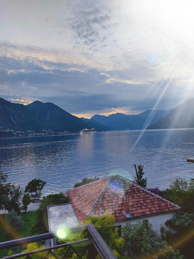 Apartment Funny Kotor Zewnętrze zdjęcie