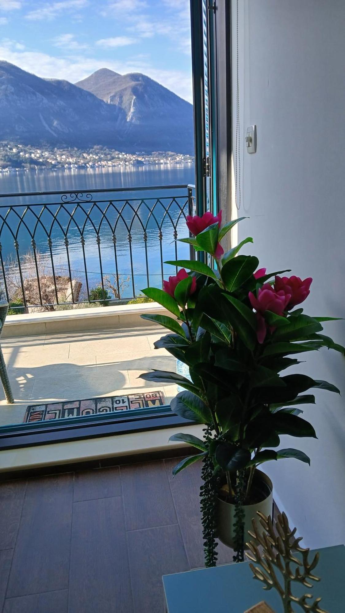 Apartment Funny Kotor Zewnętrze zdjęcie